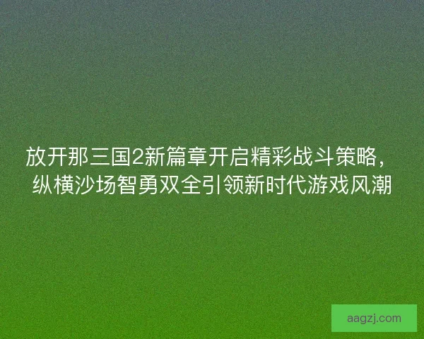 放开那三国2新篇章开启精彩战斗策略，纵横沙场智勇双全引领新时代游戏风潮